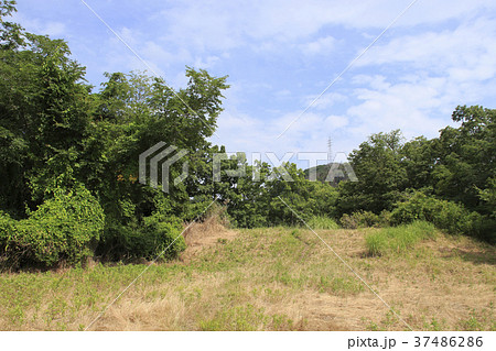 屋代城跡 37486286