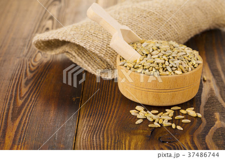 raw rye in a Cup on a wooden table and burlap. 37486744