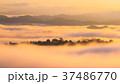 Beautiful sunrise in the morning over foggy  37486770