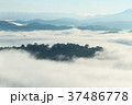 Tropical forest in the morning mountain valley lan 37486778