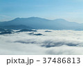 Tropical forest in the morning mountain valley 37486813