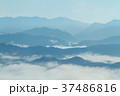 Tropical forest in the morning mountain valley 37486816