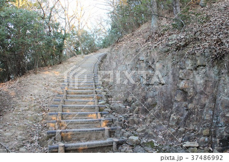 白山の山道 37486992