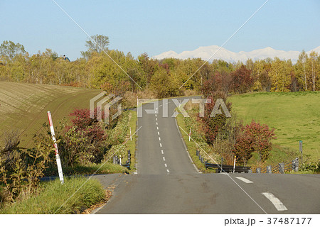 秋の一本道 37487177