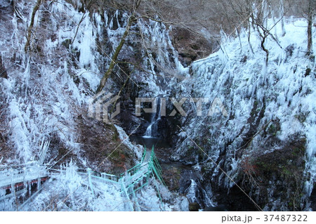 尾ノ内百景の氷柱 37487322