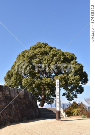 二宮町　青空と吾妻山 37488212