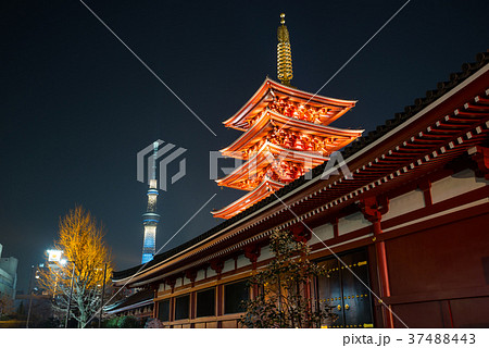 浅草寺 五重塔と東京スカイツリー 夜景 18年1月撮影 改修工事後の写真素材