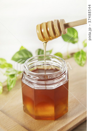 はちみつを垂らす honey 37488544