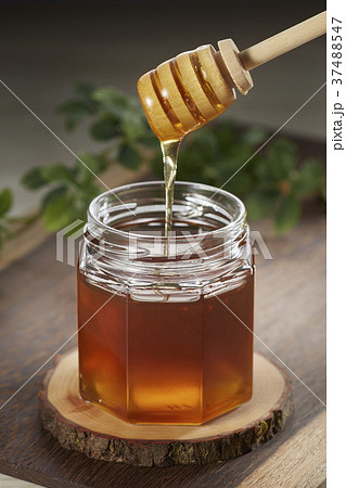 はちみつを垂らす honey はちみつを垂らす honey 37488547