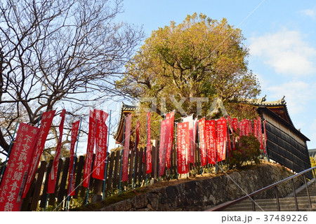興福寺南円堂への道 37489226