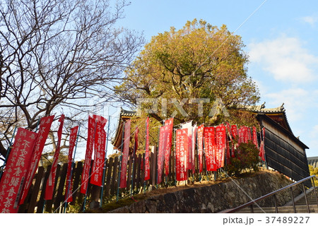 興福寺南円堂への道 興福寺南円堂への道 37489227