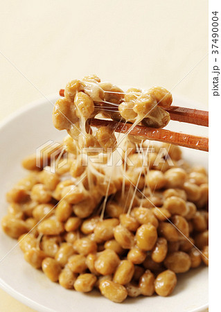 納豆 37490004