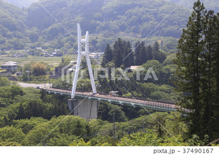 夏の諏訪峡大橋 夏の諏訪峡大橋 37490167