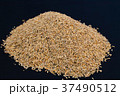 Pile of paddy on black background. 37490512