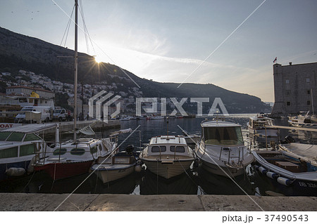 ドブロブニク旧港　早朝の観光船発着所 37490543