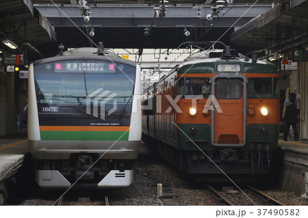 上野東京ラインE233系と両毛線115系 37490582