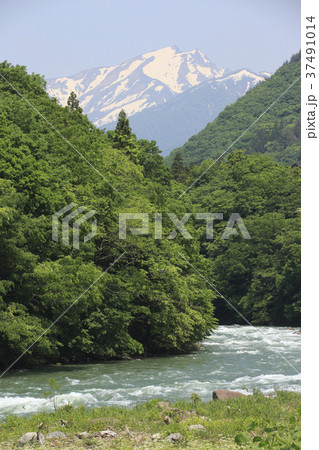 雪解け水の利根川と初夏の谷川岳 37491014