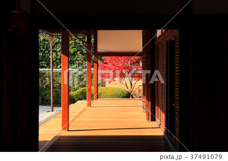 回廊から見る方丈庭園 37491079