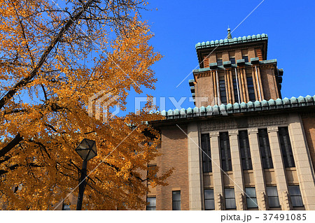 キングの塔と日本大通のイチョウ 37491085
