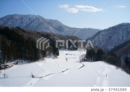 小谷村と白馬村の村境　棚田　雪景 37491090