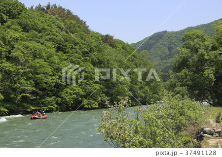 雪解け水の利根川と初夏の谷川岳 雪解け水の利根川と初夏の谷川岳 37491128