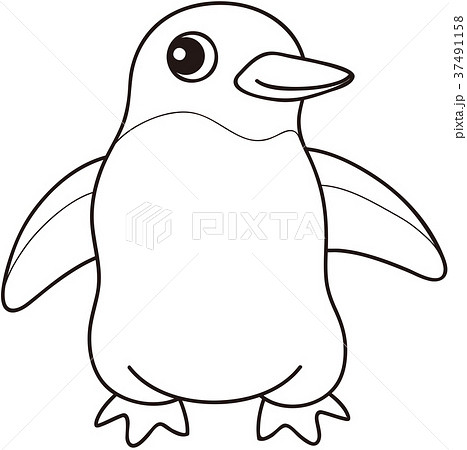 アデリーペンギン ぬりえのイラスト素材