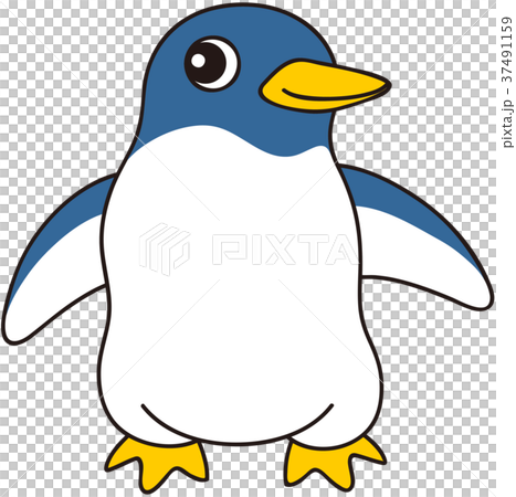 阿德利企鵝 37491159