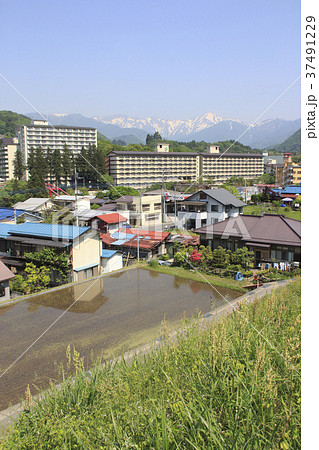 初夏の上牧温泉と谷川岳 37491229