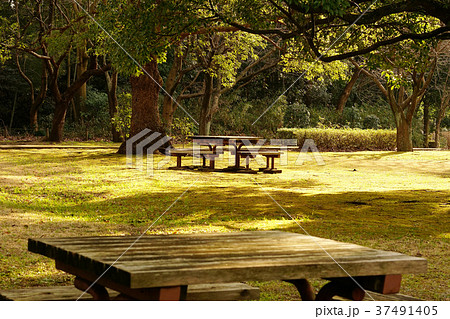 公園 テーブル ベンチ 公園 テーブル ベンチ 37491405