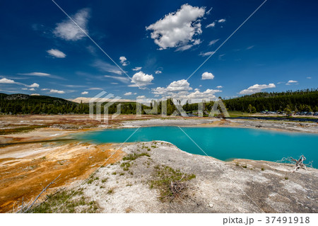 Hot thermal spring in Yellowstone 37491918