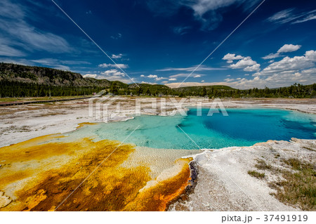 Hot thermal spring in Yellowstone Hot thermal spring in Yellowstone 37491919