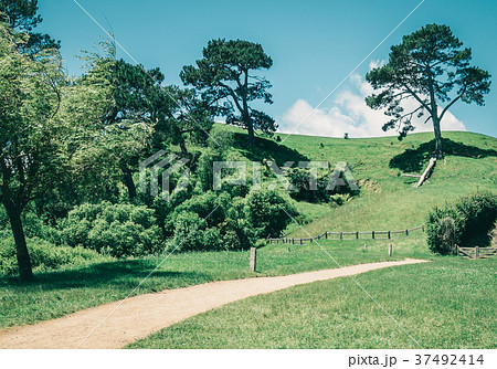 Green Grass Field in the Countryside Landscape Green Grass Field in the Countryside Landscape 37492414