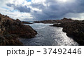 岩　海 37492446