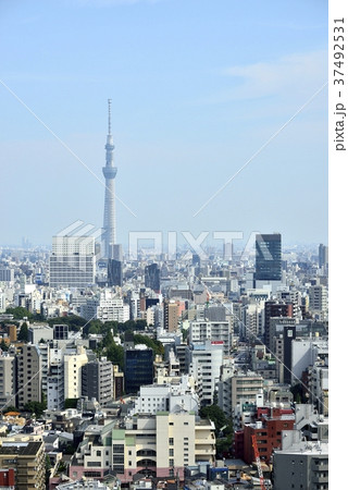 東京 都市風景 東京スカイツリー 東京 都市風景 東京スカイツリー 37492531