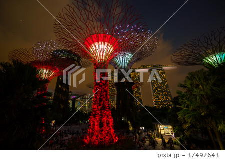 Singapore Night Skyline at Gardens by the Bay Singapore Night Skyline at Gardens by the Bay 37492643