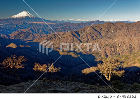 丹沢・塔ノ岳から富士山と南アルプスの眺め 37493362