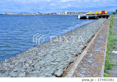 名古屋港　9号地岸壁　干潮時石積 37493381