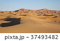 メルズーガのサハラ砂漠 37493482