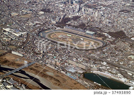 東京競馬場付近を空撮の写真素材