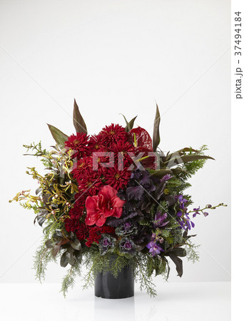 赤い花のアレンジメントの写真素材