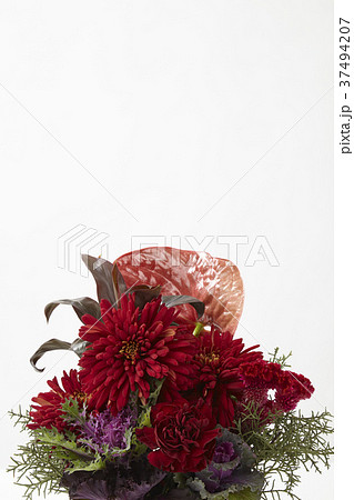 赤い花のアレンジメントの写真素材
