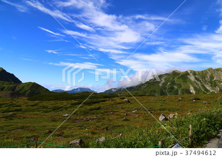 【富山県】立山黒部アルペンルート・立山室堂平 37494612
