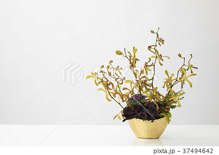 パーティー用アレンジメント パーティー用アレンジメント 37494642