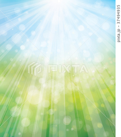 Vector summer, nature background, blurred effect. Vector summer, nature background, blurred effect. 37494935