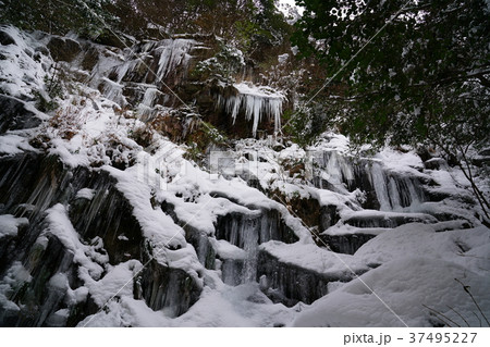 河原谷の大つらら　難所ヶ滝　福岡県宇美町 37495227