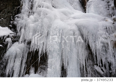 河原谷の大つらら　難所ヶ滝　福岡県宇美町 37495233
