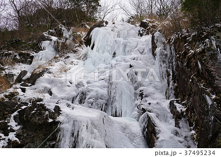 河原谷の大つらら　難所ヶ滝　福岡県宇美町 37495234