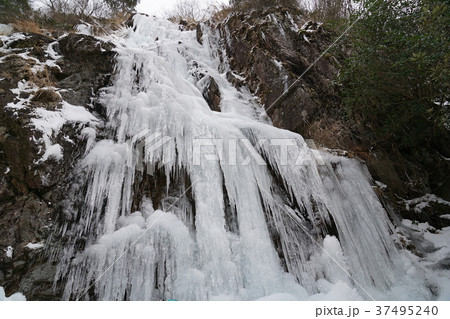 河原谷の大つらら　難所ヶ滝　福岡県宇美町 37495240