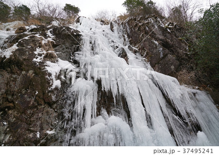 河原谷の大つらら 難所ヶ滝 福岡県宇美町 河原谷の大つらら 難所ヶ滝 福岡県宇美町 37495241