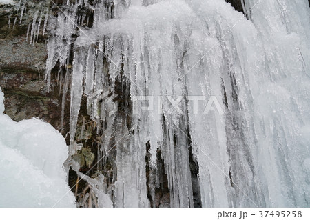 河原谷の大つらら　難所ヶ滝　福岡県宇美町 37495258